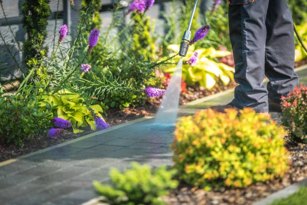 Reliable East Shoreham, NY Pressure Washing Services Solutions