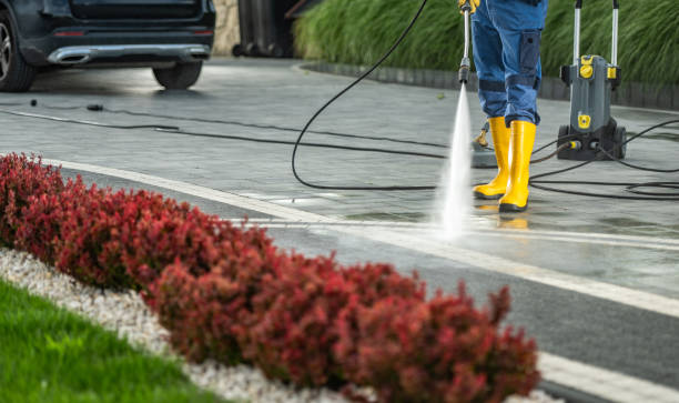 Best Driveway Pressure Washing  in East Shoreham, NY